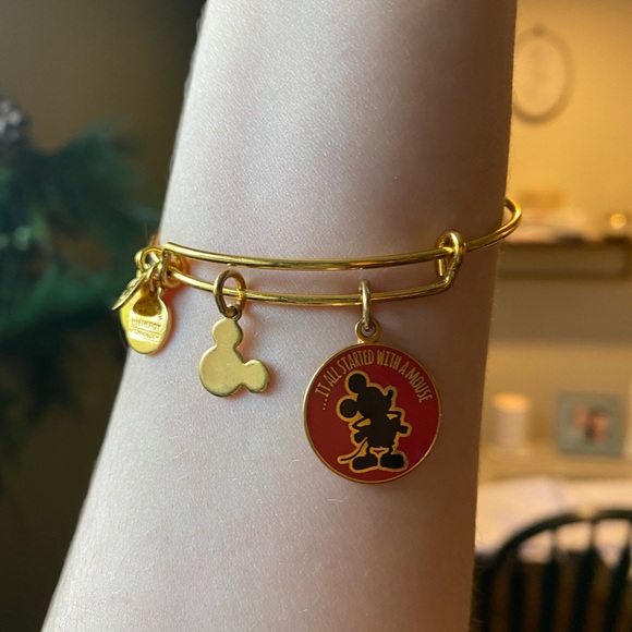 Alex and Ani Disney Bracelet - Picture 2 of 5